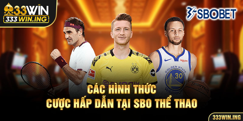 Các hình thức cược hấp dẫn tại SBO thể thao 